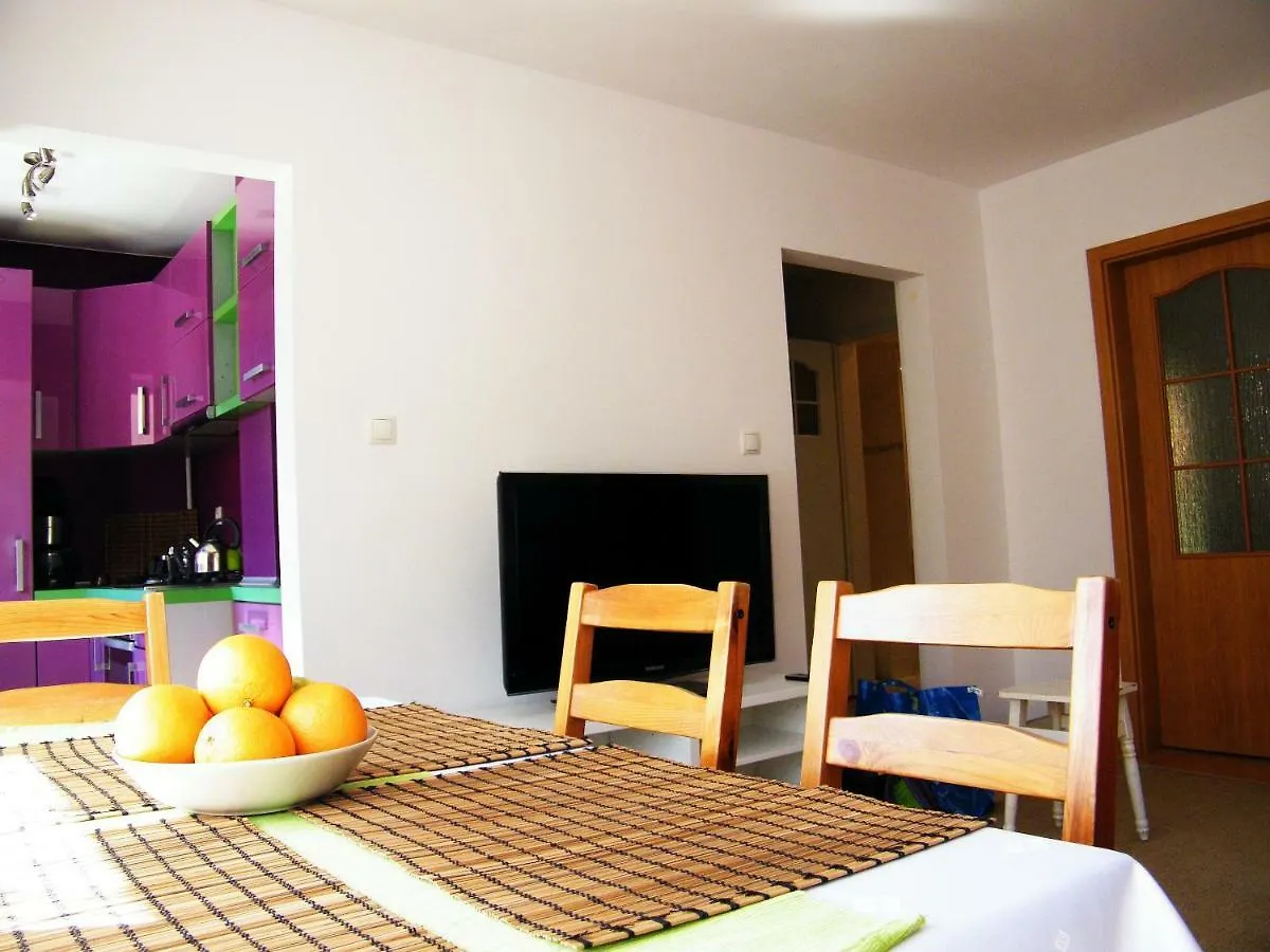 Bukowska Apartment Poznan 0*,
